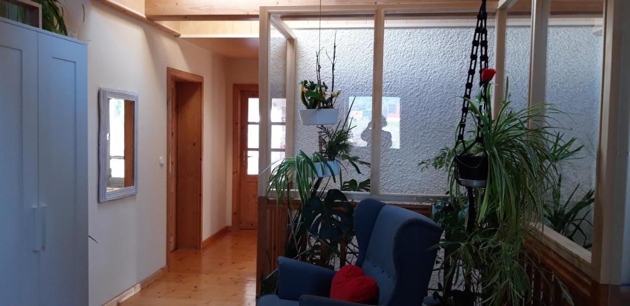 Ferienwohnung Am Fuss Des Bayerischen Waldes ヴェルト・アン・デア・ドナウ エクステリア 写真